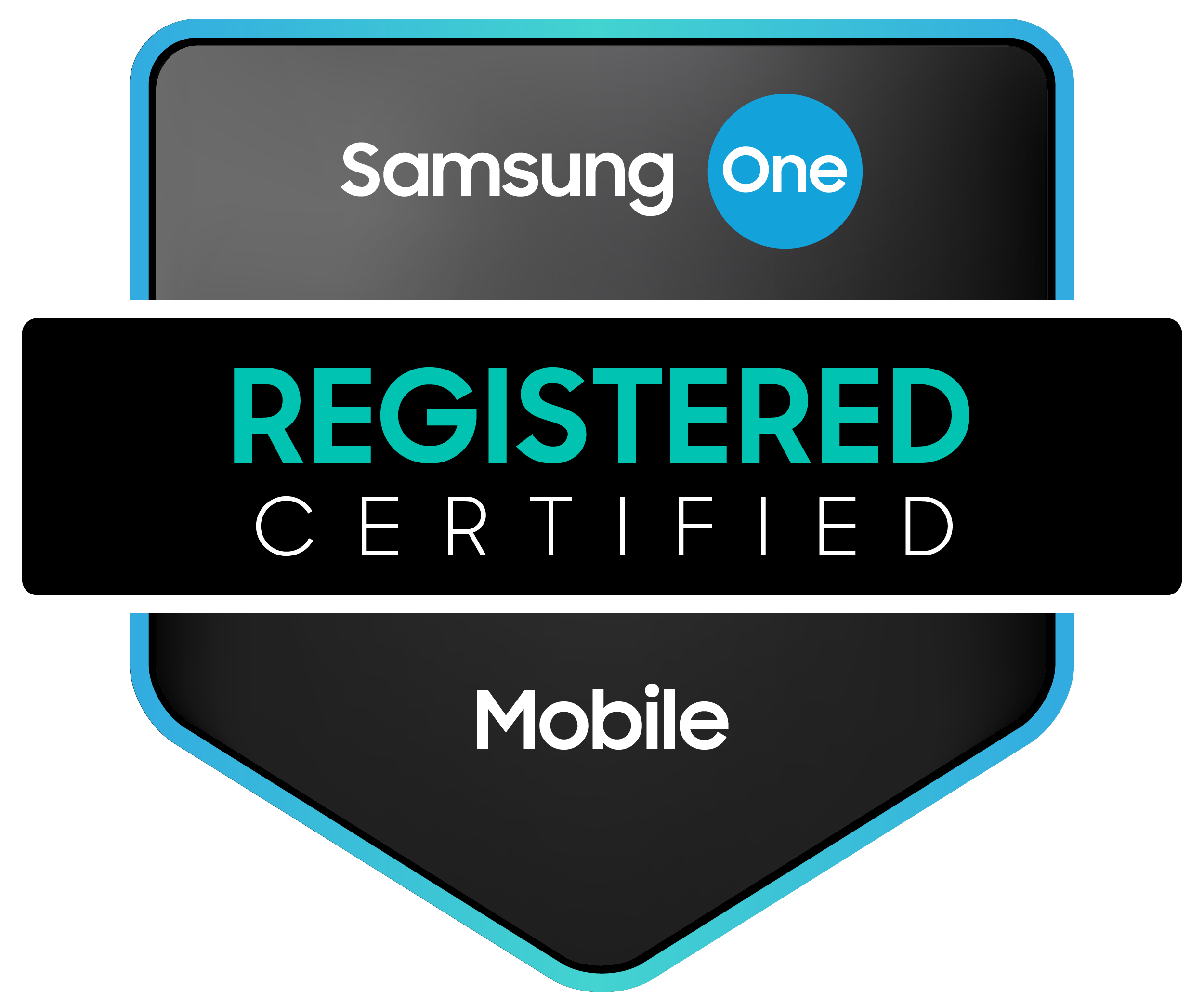 Samsung ONE Registered Partner